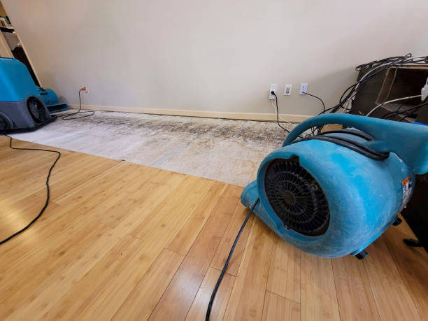 Professional Emergency Water Damage technician working in Roll, AZ